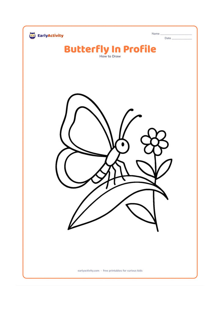 Worksheet: Show a side-view butterfly resting on a curved leaf, with one large visible wing, a segmented body, head, antennae and six simple legs. Add a second leaf and a small flower behind it.