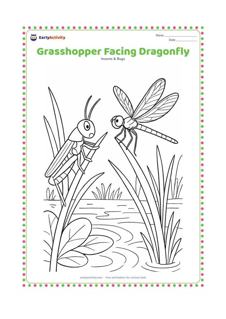 Colouring page: Draw a grasshopper on a reed facing a dragonfly on a nearby reed beside a pond, with pond plants, overlapping leaves, water ripples, and a few distant grasses.
