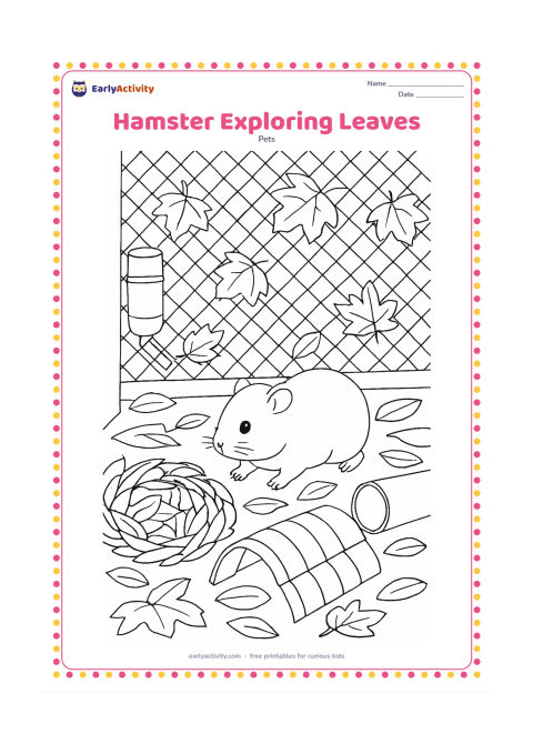 Colouring page: A hamster explores a secure outdoor-style play enclosure filled with safe paper leaves and cardboard tubes, while autumn leaves are visible beyond a mesh barrier. Include a water bottle,…