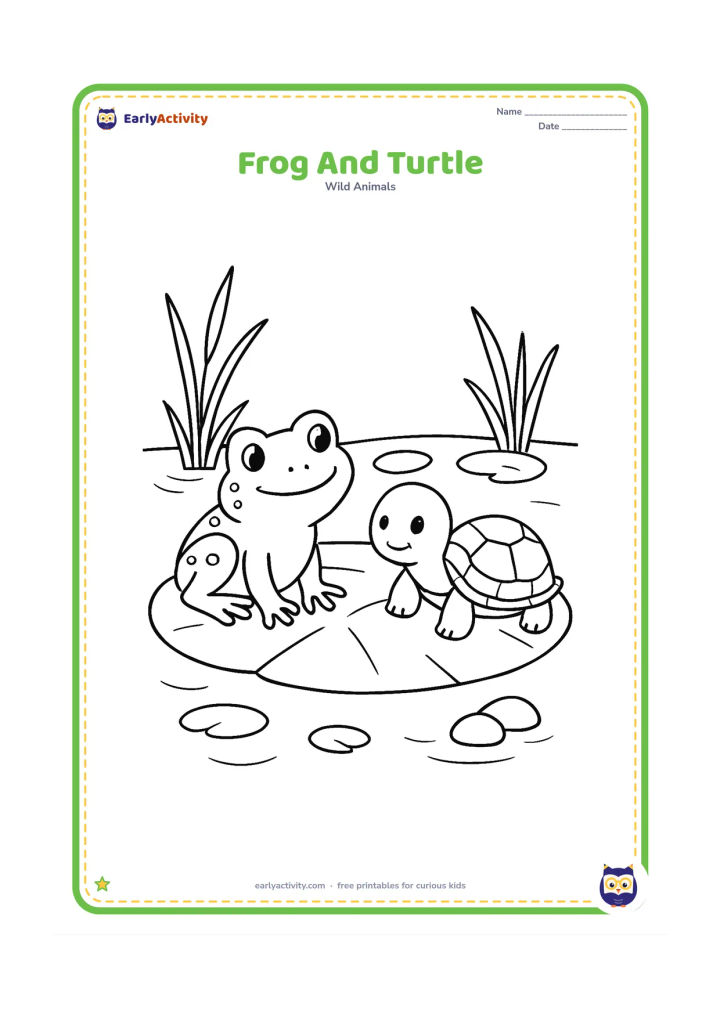 Colouring page: Draw a frog and a small friendly turtle sharing a broad lily pad at the pond edge. Add floating leaves, reeds, a few stones and gentle ripples behind them.