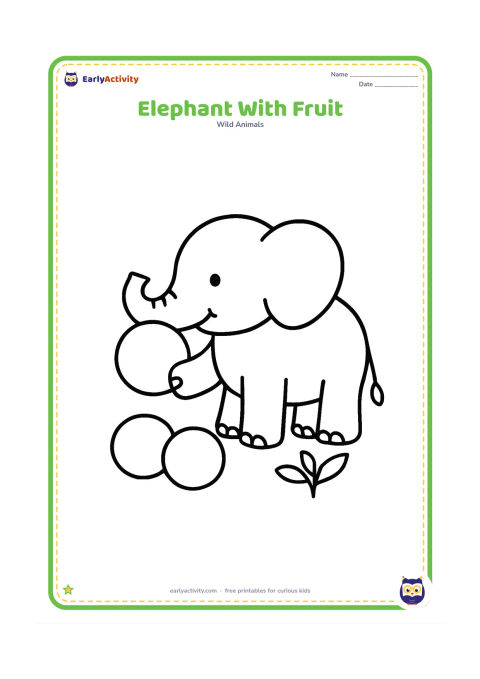 Colouring page: Draw an elephant using its trunk to hold one large round fruit near its mouth. Place two more fruits on the ground and add a simple leafy plant.