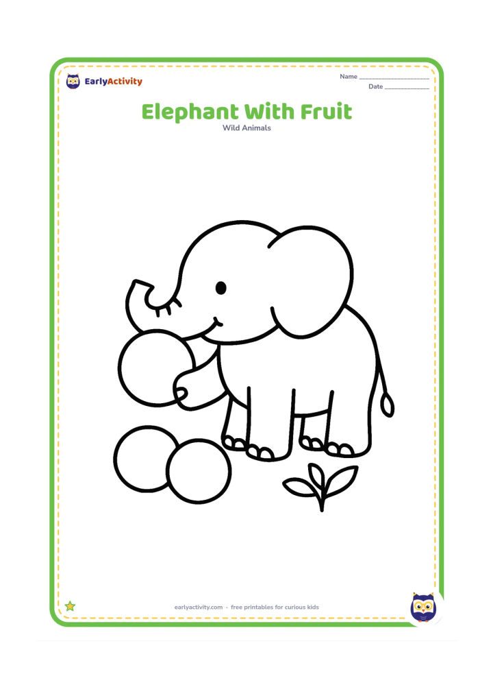 Colouring page: Draw an elephant using its trunk to hold one large round fruit near its mouth. Place two more fruits on the ground and add a simple leafy plant.
