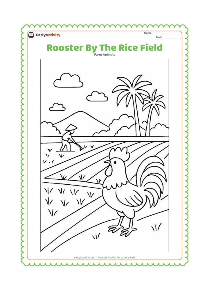 Colouring page: Draw a rooster standing on a raised path beside an Indian rice field. Include a farmer in the distance, irrigation channels, palm trees and a simple village roof.