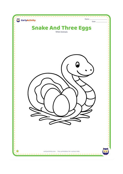 Colouring page: Draw a snake curled protectively beside three large oval eggs in a nest of a few simple twigs. The scene should look calm and natural.