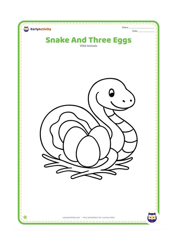 Colouring page: Draw a snake curled protectively beside three large oval eggs in a nest of a few simple twigs. The scene should look calm and natural.