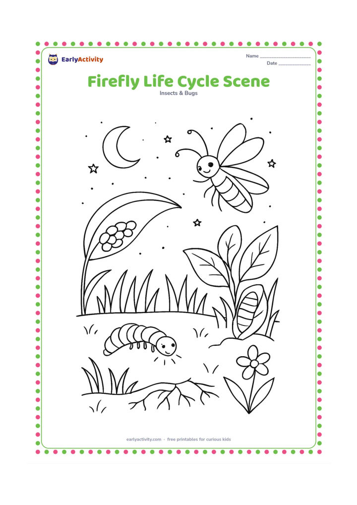 Colouring page: Draw a natural garden scene showing an egg cluster under a leaf, a glowing larva near the soil, a pupa partly sheltered among leaves, and an adult firefly flying above. Add grass, roots,…