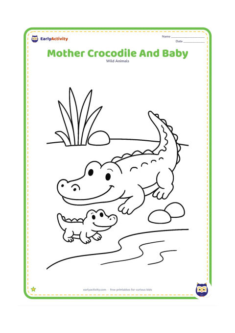 Colouring page: Draw a large friendly crocodile lying beside one small baby crocodile near the edge of a pond. Add a few broad reeds and rounded stones in the background.