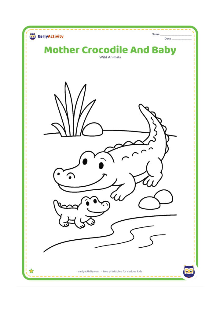 Colouring page: Draw a large friendly crocodile lying beside one small baby crocodile near the edge of a pond. Add a few broad reeds and rounded stones in the background.