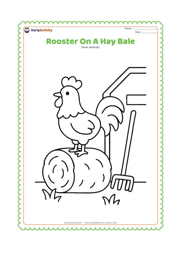 Colouring page: Draw a rooster standing on one large hay bale beside a barn wall. Add a simple rake leaning nearby and a few broad grass shapes.