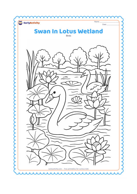 Colouring page: A swan moves through an Indian wetland filled with lotus flowers, broad lotus leaves, reeds, and distant trees. Include a second swan partly hidden behind the plants and detailed…