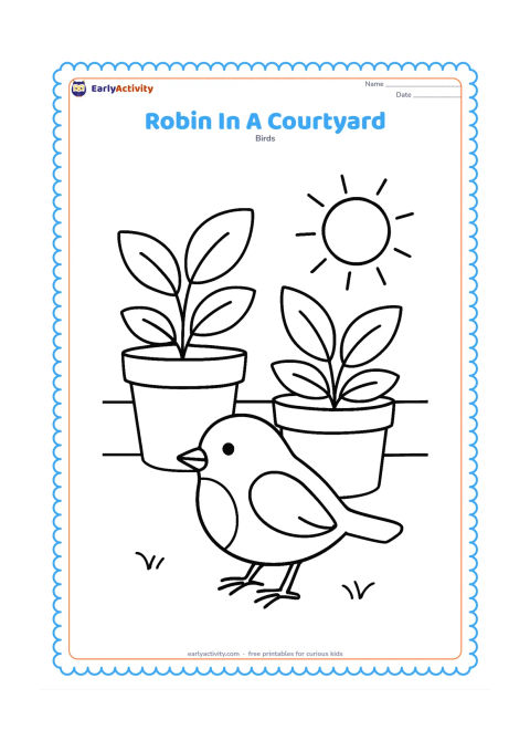 Colouring page: Draw a robin on the ground in a sunny home courtyard beside two large terracotta plant pots and a low wall. Include one broad-leaved plant in each pot.