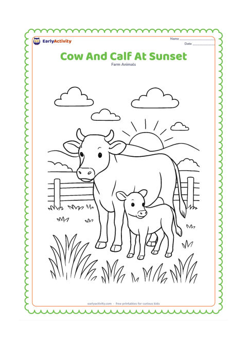 Colouring page: A mother cow and calf stand together in a pasture as the sun sets behind distant hills. Include a wooden fence, tall grass, a few clouds, and long gentle shadows.