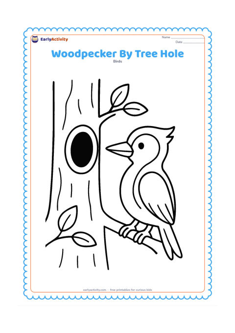 Colouring page: A woodpecker stands beside a large round hole in a tree trunk, looking toward the opening. Include a few simple leaves and a curved branch.