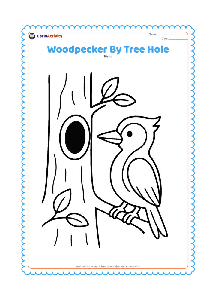 Colouring page: A woodpecker stands beside a large round hole in a tree trunk, looking toward the opening. Include a few simple leaves and a curved branch.