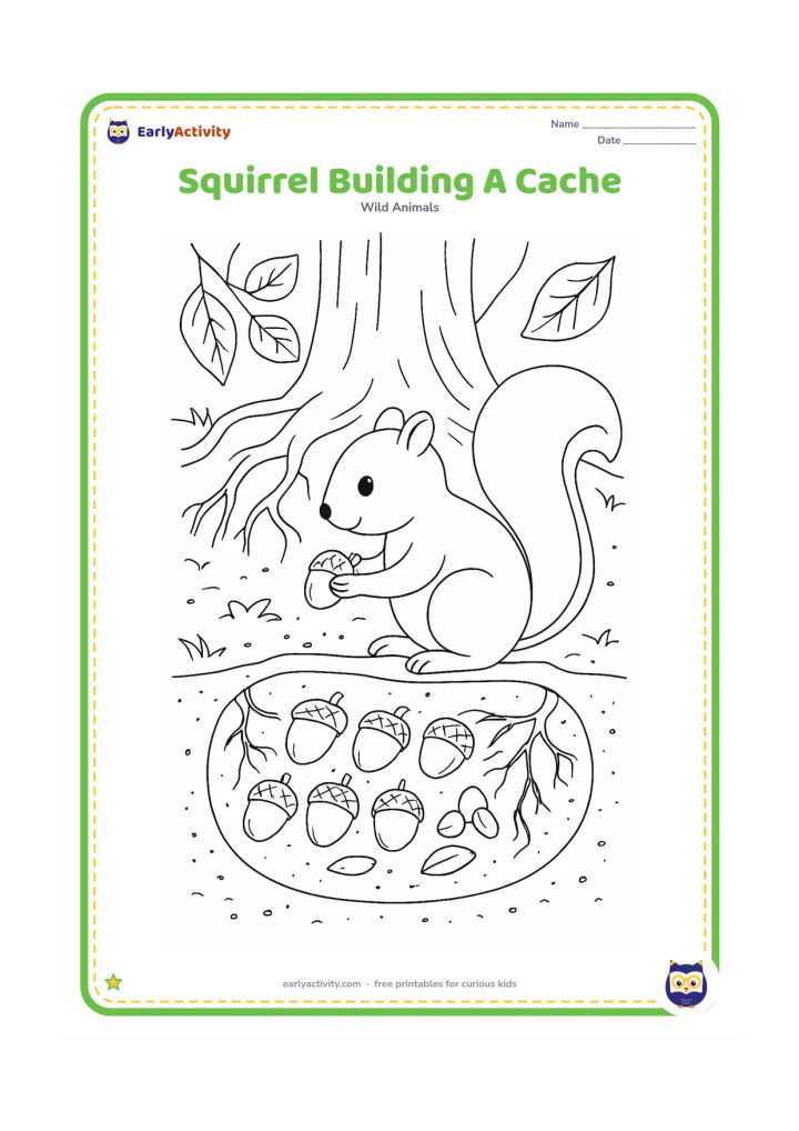 Colouring page: Draw a squirrel arranging acorns in a shallow underground storage hollow beneath tree roots, with visible soil layers, roots, leaves, and a few seeds.