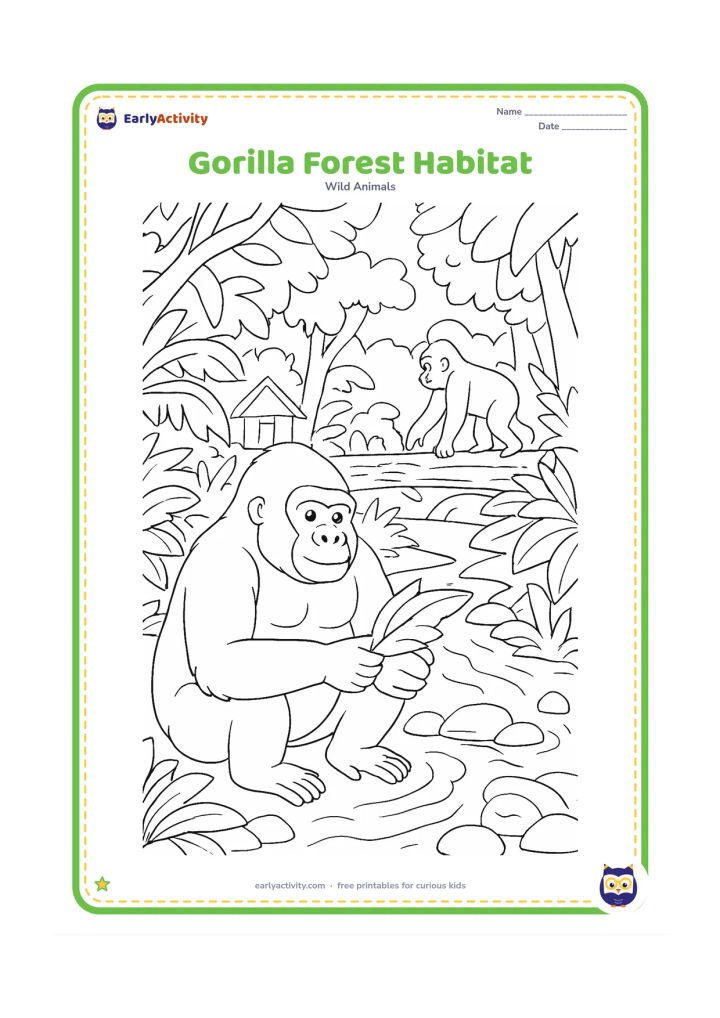 Colouring page: A gentle gorilla sits beside a stream sorting broad leaves, while another crosses a log bridge behind it. Add layered rainforest plants, a shelter, smooth stones and dappled openings in…