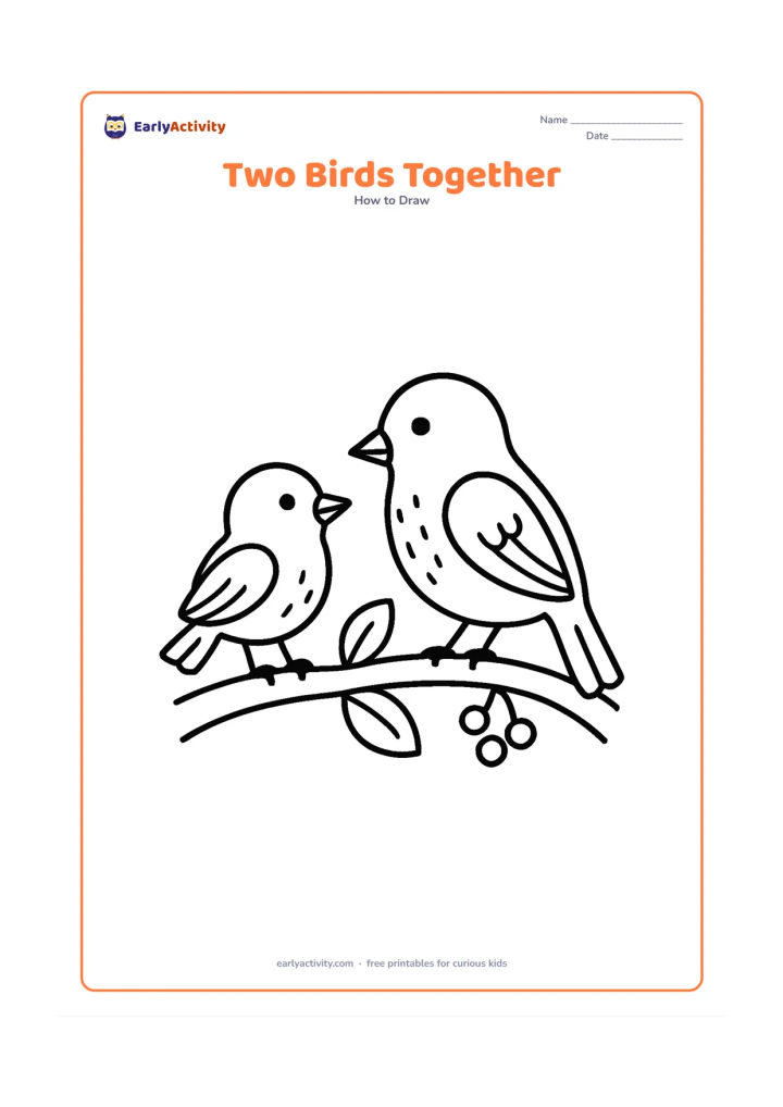 Worksheet: A small bird and a larger bird sit on the same curved branch, facing one another. Give them different beak sizes, wing shapes and tail shapes, with a few leaves and berries around them.