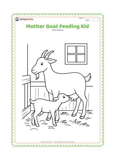 Colouring page: Draw a mother goat standing while a baby kid nurses beneath her, with both faces visible in profile. Place them in a clean barn stall with hay, a wooden divider, and a small window.
