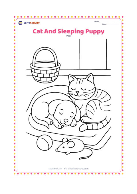 Colouring page: Draw a cat curled beside a peacefully sleeping puppy on a shared blanket, with a basket, two toys, and a simple indoor wall scene behind them. Both animals should look calm and friendly.