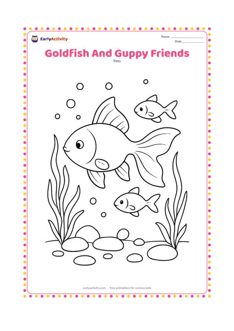 Colouring page: Draw one clearly larger goldfish swimming with two smaller friendly freshwater fish, surrounded by plants, bubbles and smooth stones in an aquarium. Give the goldfish its rounded body…
