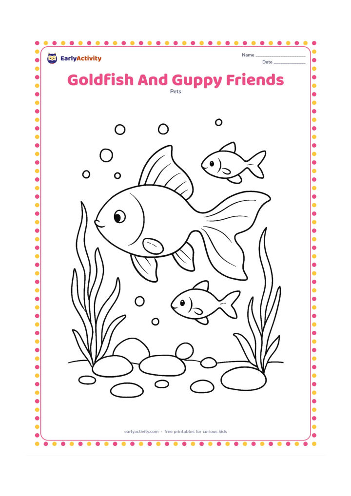 Colouring page: Draw one clearly larger goldfish swimming with two smaller friendly freshwater fish, surrounded by plants, bubbles and smooth stones in an aquarium. Give the goldfish its rounded body…