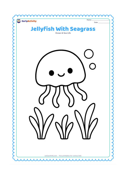 Colouring page: Draw one large jellyfish floating above three simple clumps of seagrass. Give it a rounded bell and five short, looping tentacles, with two large bubbles nearby.