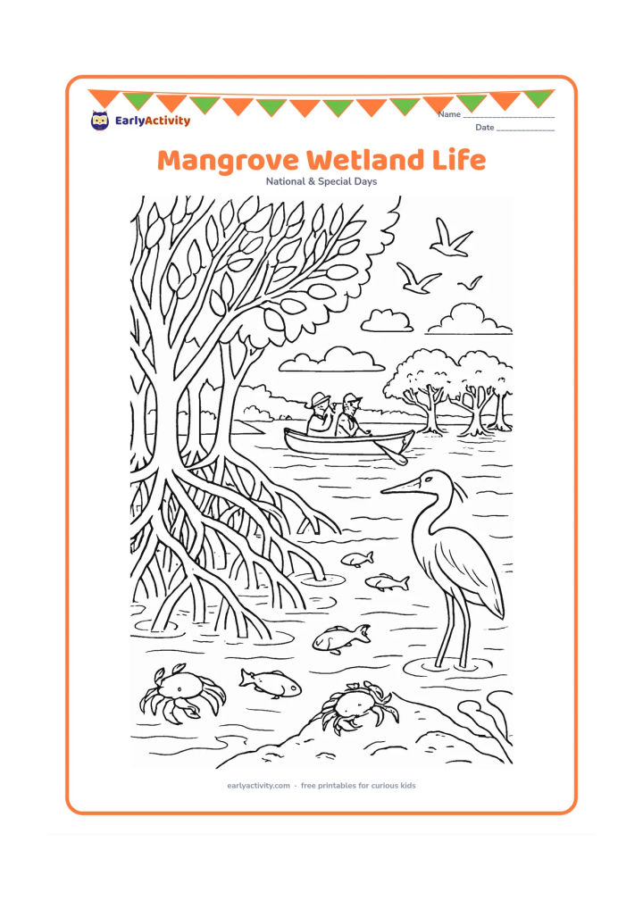 Colouring page: Draw a detailed mangrove wetland with twisting roots, shallow water, fish, crabs, a heron and a boat carrying two people who are observing the clean habitat. Include distant coastal…