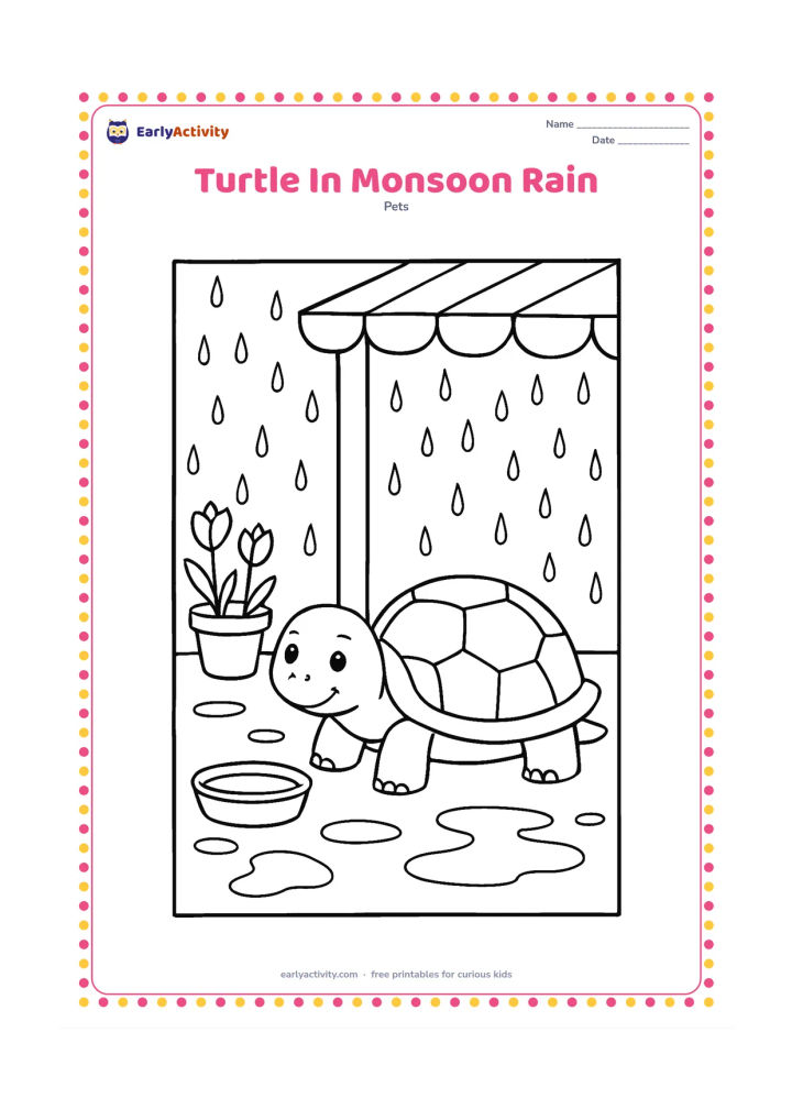 Colouring page: A pet turtle sits safely under a covered veranda while rain falls beyond the edge. Add a shallow water bowl, potted plants and a few puddles outside.