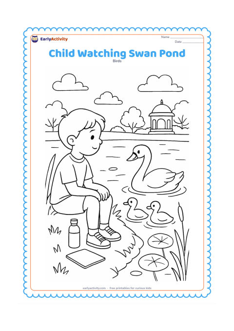 Colouring page: A child sits safely on a grassy pond bank watching a swan and two cygnets swim nearby. Include a small sketchpad without marks, a water bottle, reeds, lotus leaves, and a distant…