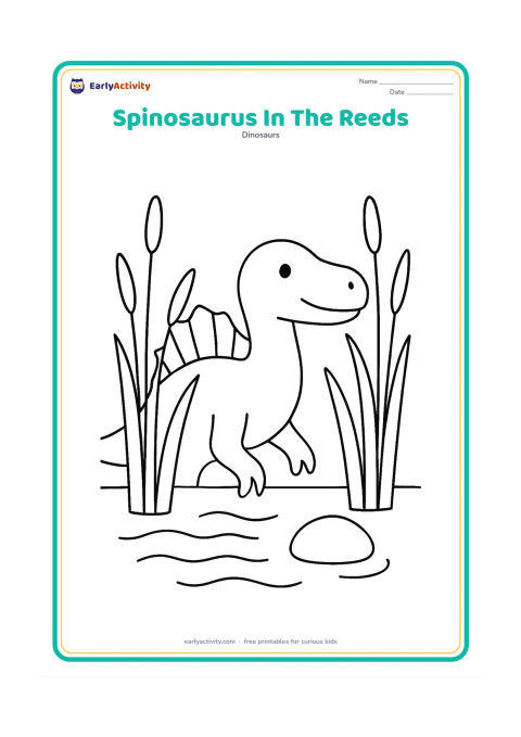 Colouring page: A Spinosaurus peeks through a small group of tall reeds beside shallow water, with its head, sail and tail visible. Add three broad water ripples and one rounded stone.