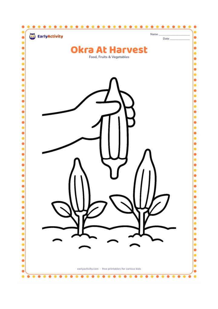 Colouring page: Show a child-sized hand holding one large okra pod above a simple garden row, with two more pods growing nearby. Do not include a face or clothing details.