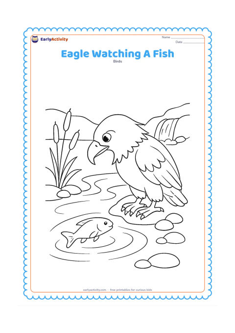 Colouring page: Draw an eagle crouched on a riverbank, leaning forward and watching a fish below the water surface. Include clear ripples, three reeds, smooth stones and a small waterfall in the distance.