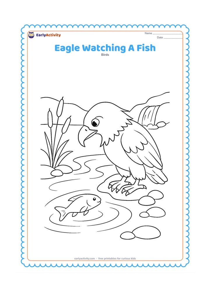 Colouring page: Draw an eagle crouched on a riverbank, leaning forward and watching a fish below the water surface. Include clear ripples, three reeds, smooth stones and a small waterfall in the distance.