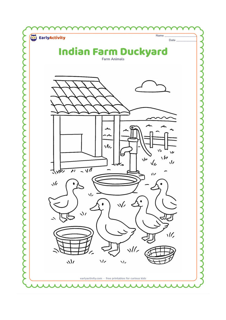 Colouring page: Create an Indian farmyard scene with several ducks near a low tiled-roof shelter, a hand pump, a shallow metal water tub, a woven basket and a simple fence. Add grass and a distant field.