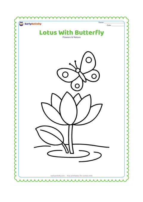 Colouring page: Draw one large open lotus with a very simple butterfly hovering above one petal. Include one broad leaf and a short stem emerging from calm water.