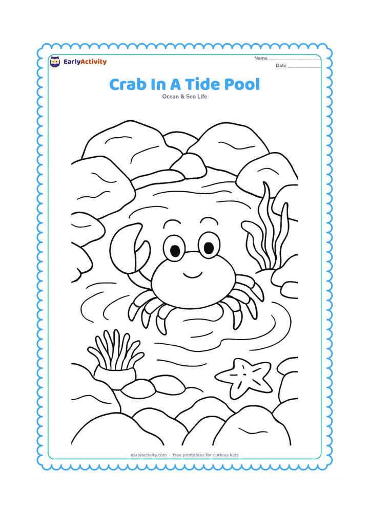Colouring page: Draw a crab exploring a tide pool surrounded by uneven rocks, with a small sea anemone, seaweed, a starfish and several curved water ripples. Place the crab prominently near the centre.