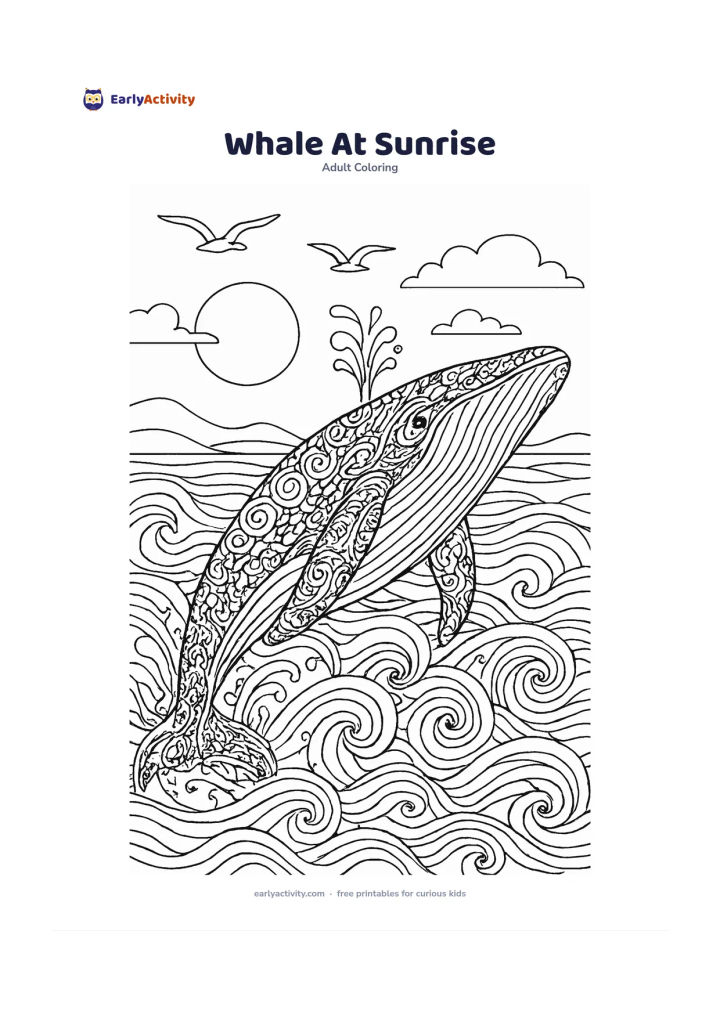 Colouring page: A humpback whale rises calmly from rolling ocean waves beneath a low sun, with seabirds, distant clouds and a few splashes around its body. Show the whale in side view with its blowhole…