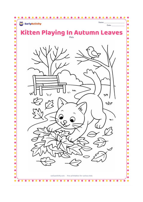 Colouring page: A kitten pounces on a pile of fallen leaves in a garden, with curled leaves scattered along a path, a bench, bare branches and a bird perched nearby. Show clear foreground, middle ground…