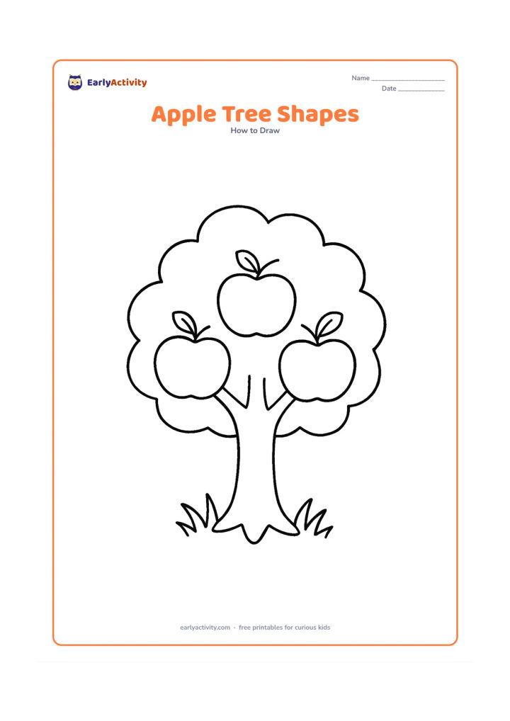 Worksheet: Show a small tree with a wide trunk, three rounded leaf groups and three large apples hanging from the branches. Add a few blades of grass under the trunk.