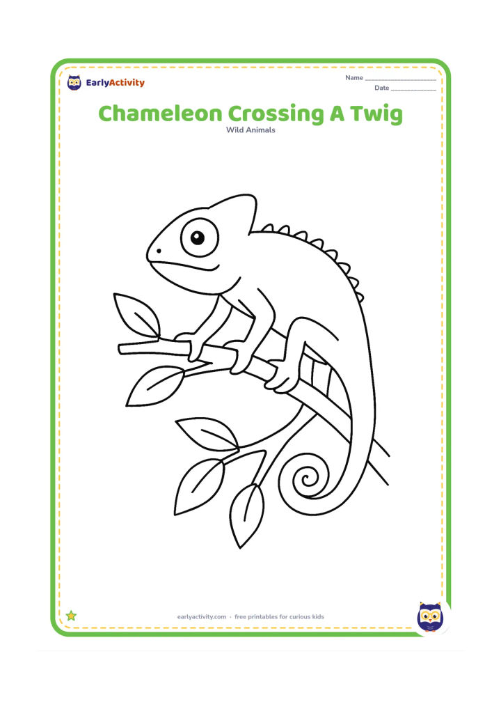 Colouring page: A chameleon walks carefully across a forked twig, with each foot gripping a different part of the branch and its tail curled around the lower fork. Add leaves at both sides.