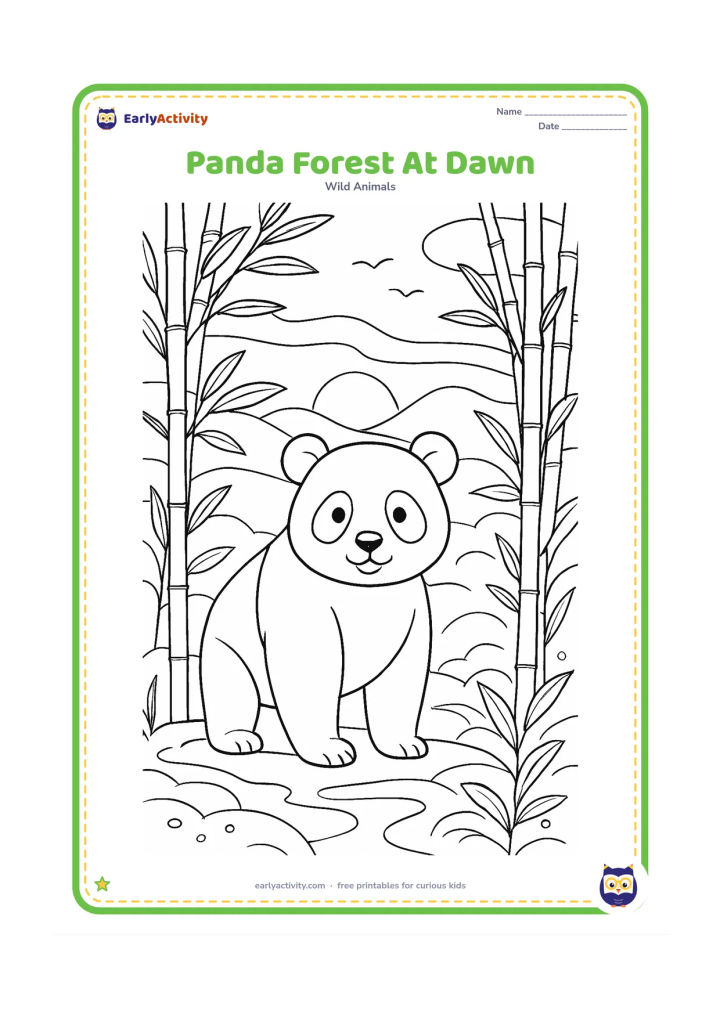 Colouring page: Draw a panda standing in a misty bamboo forest at dawn, with a rising sun, layered hills, dew-covered leaves, tree trunks and small birds in the distance.