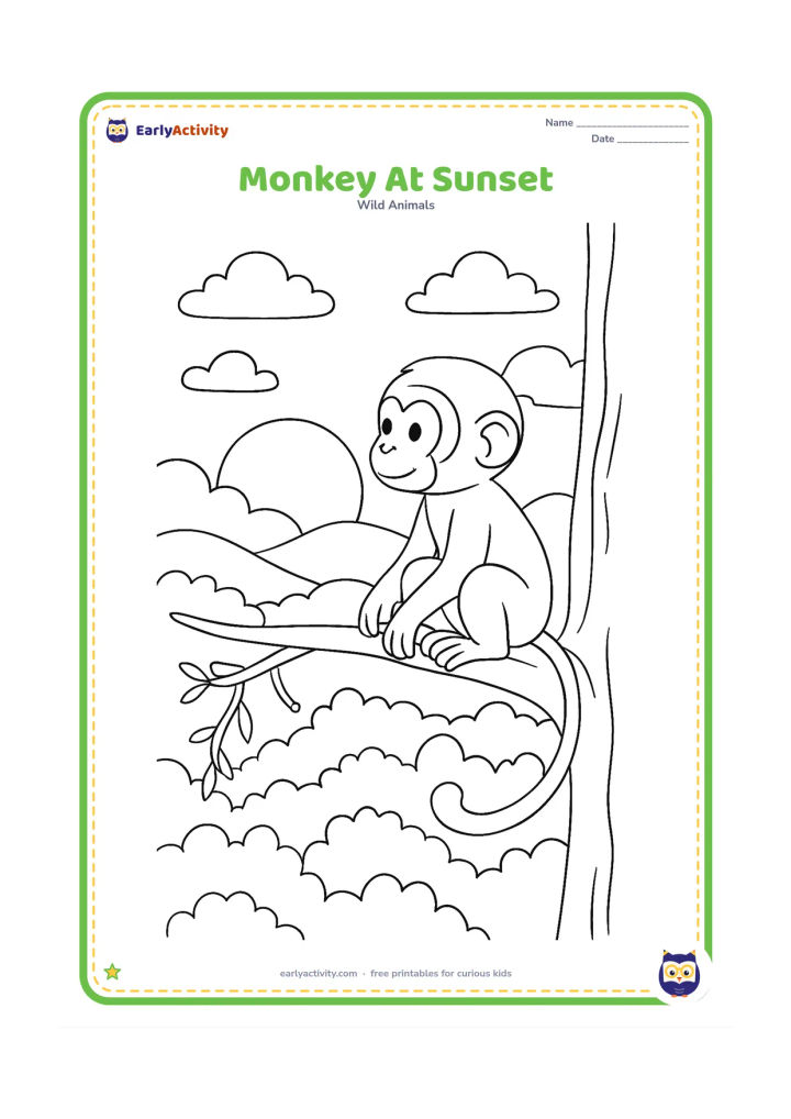 Colouring page: Draw one monkey sitting on a tall branch and watching the setting sun over forest hills. Add layered clouds, treetops and a few hanging vines.