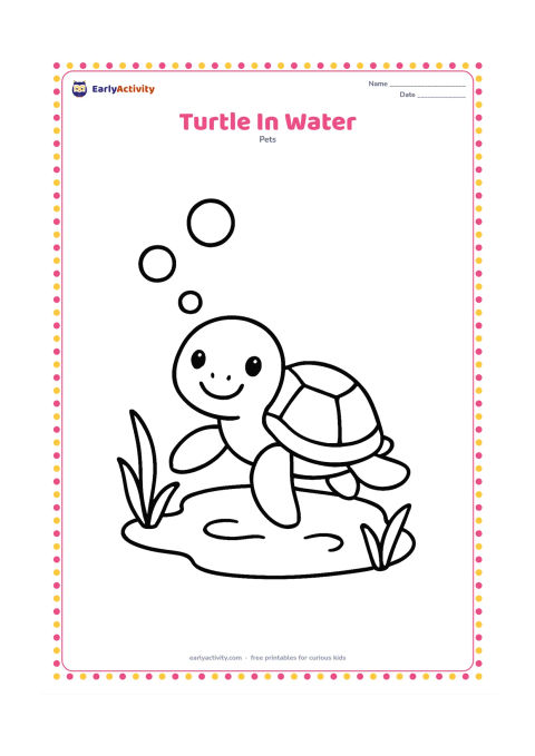 Colouring page: A happy pet turtle swims through a small pool, with its head above the water and all four legs visible. Add three large bubbles and two simple water plants.