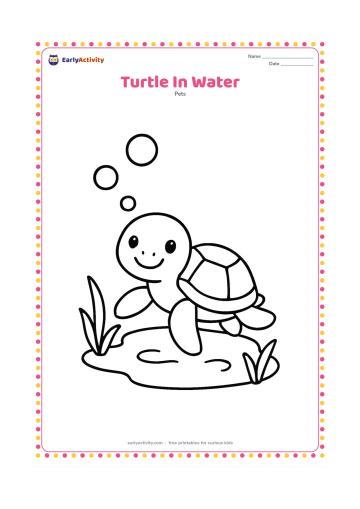 Colouring page: A happy pet turtle swims through a small pool, with its head above the water and all four legs visible. Add three large bubbles and two simple water plants.