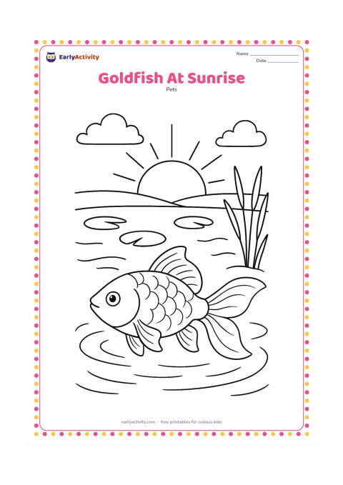 Colouring page: Draw a goldfish swimming near the surface of an outdoor pond at sunrise, with a large rising sun, simple reeds, lily pads and gentle water ripples. Keep the fish prominent in the foreground.