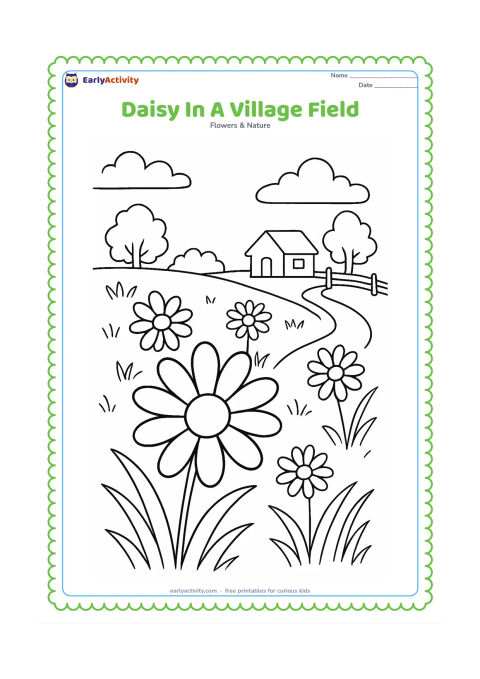 Colouring page: Draw a group of daisies in a grassy Indian village field, with a distant small house, a simple fence, two trees and a curving footpath. Place one prominent daisy in the foreground.