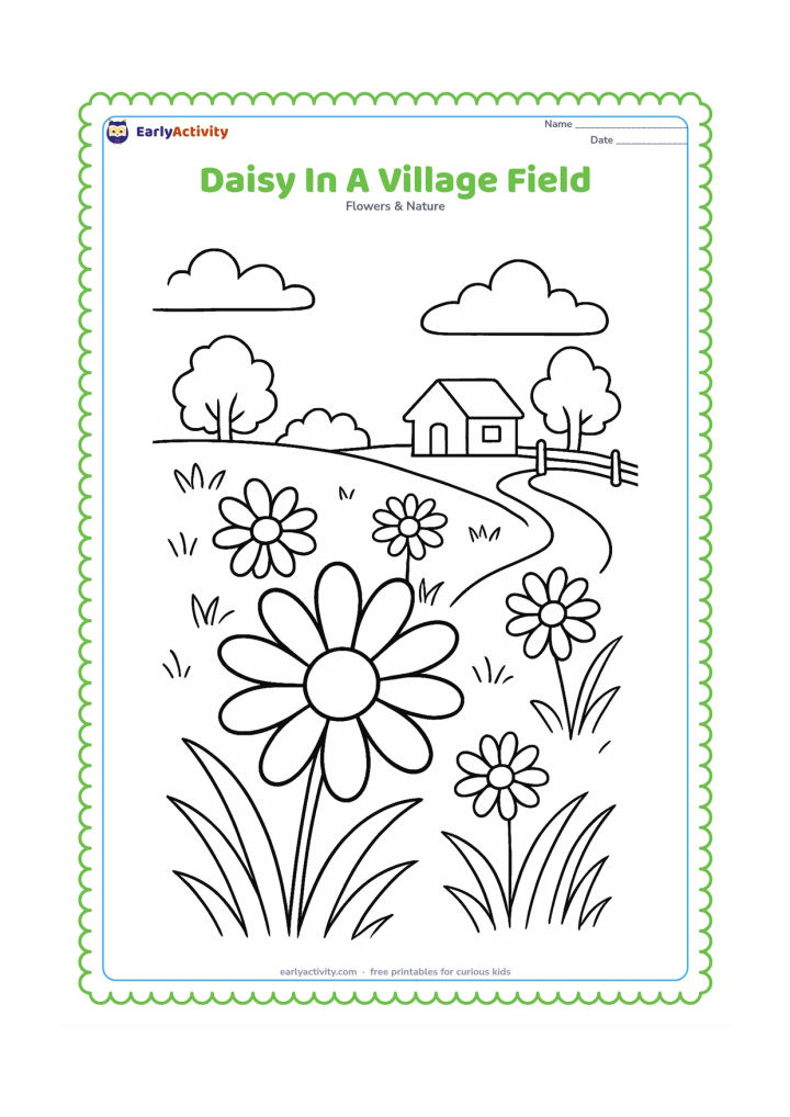 Colouring page: Draw a group of daisies in a grassy Indian village field, with a distant small house, a simple fence, two trees and a curving footpath. Place one prominent daisy in the foreground.