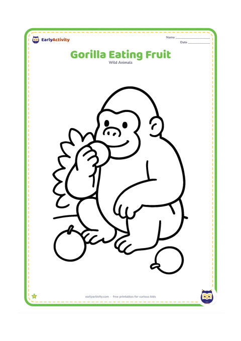 Colouring page: A seated gorilla holds one round fruit near its mouth while two more large fruits lie nearby. Add a low leafy bush behind it.