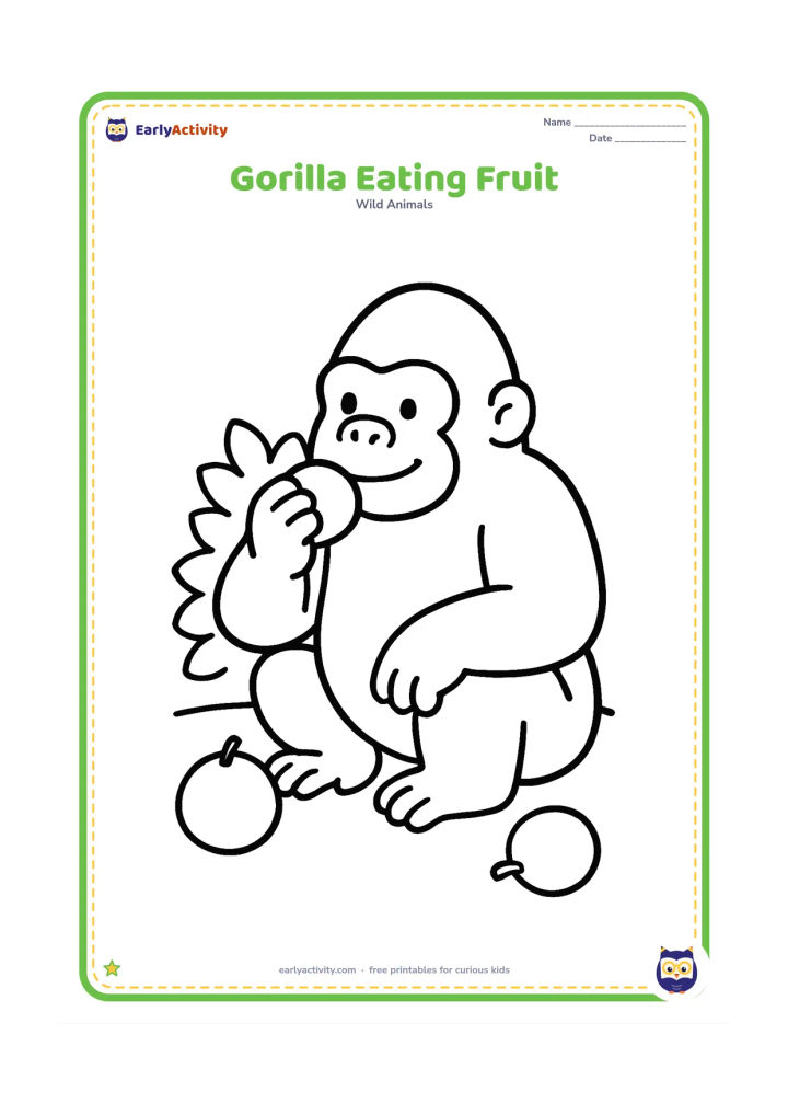 Colouring page: A seated gorilla holds one round fruit near its mouth while two more large fruits lie nearby. Add a low leafy bush behind it.