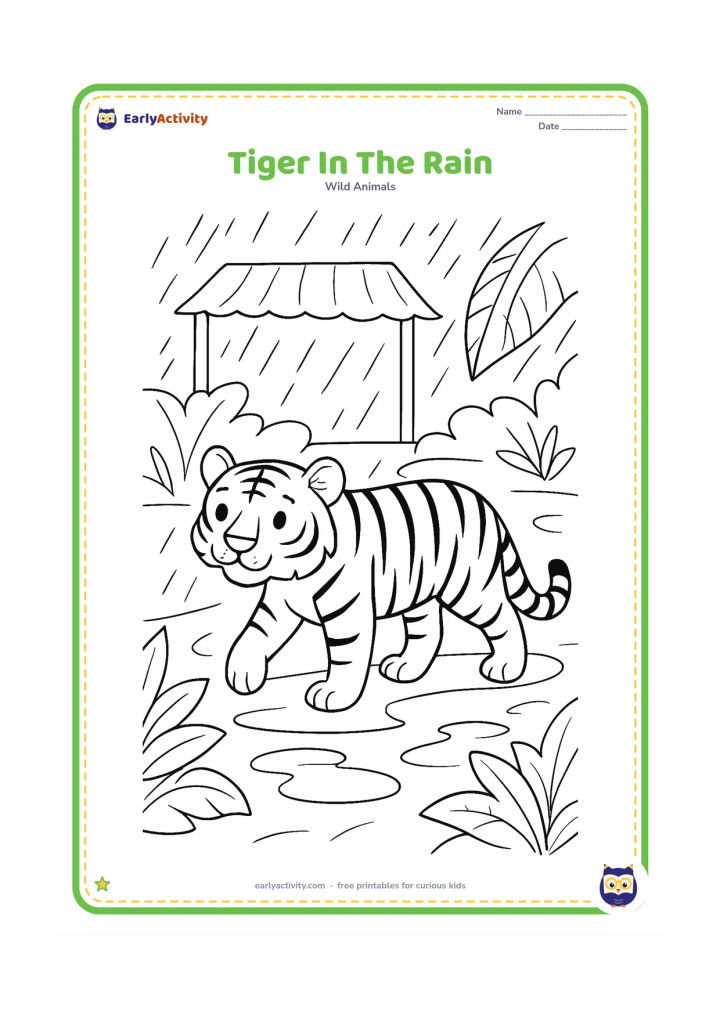 Colouring page: A tiger walks along a zoo path during a gentle monsoon shower, stepping around puddles. Add broad tropical leaves, a simple shelter roof and curved rain lines.
